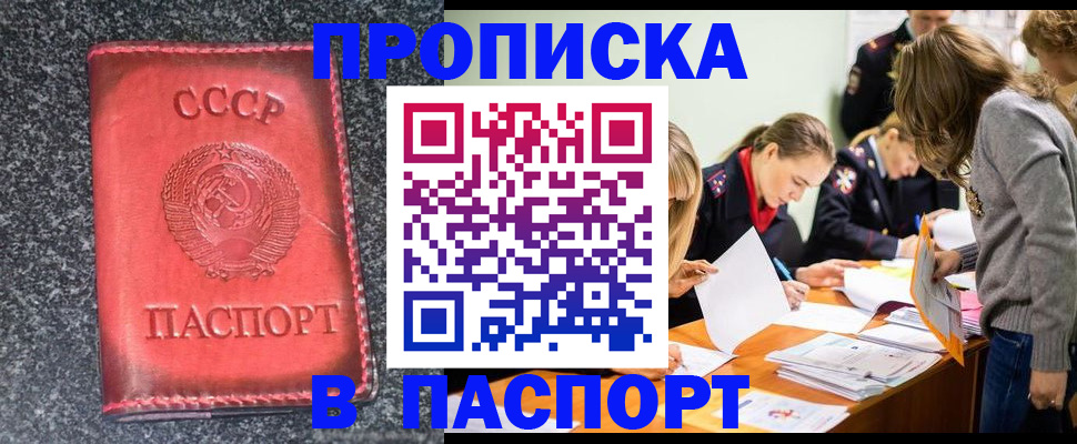 прописка для школы в Поворино